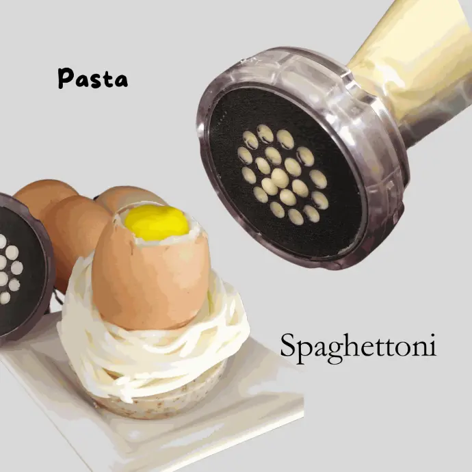 Plateau Pasta - Spaghettoni (No thanks  ( the tray only))